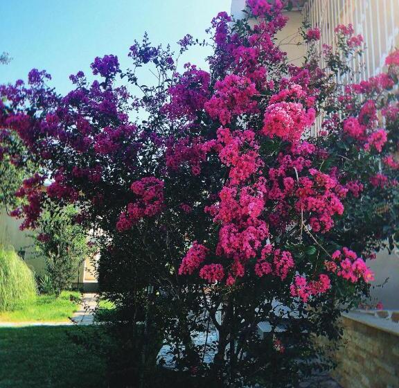 سوئیت با بالکن, Vila Jovana