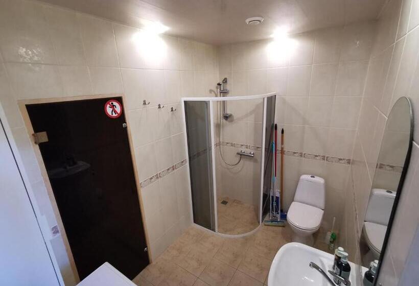 آپارتمان 1 خوابه با تراس, Pušynas Apartments