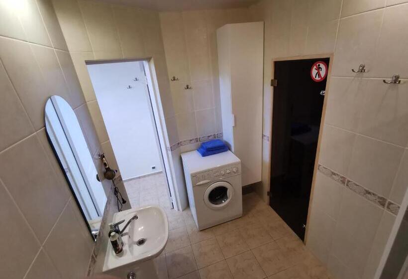 آپارتمان 1 خوابه با تراس, Pušynas Apartments