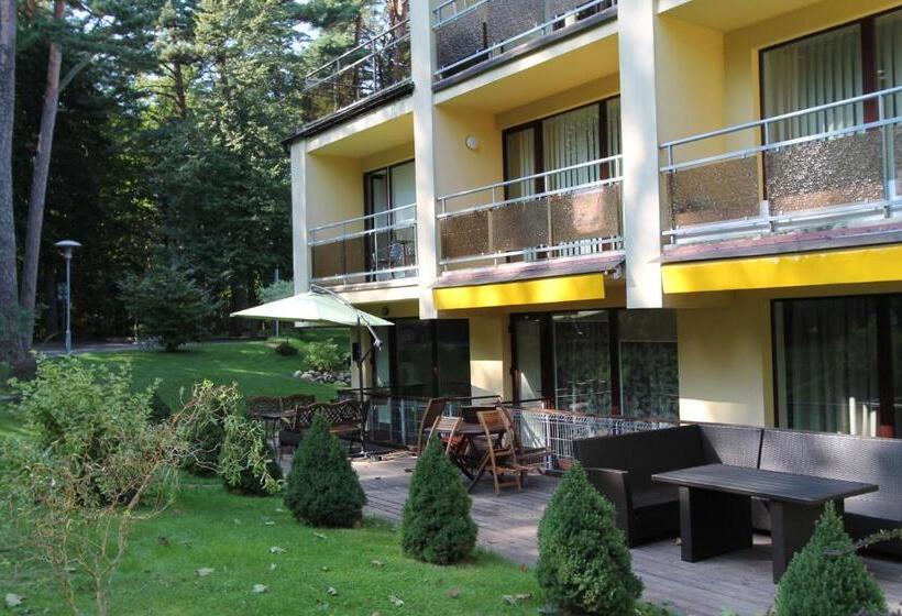 آپارتمان 1 خوابه با تراس, Pušynas Apartments