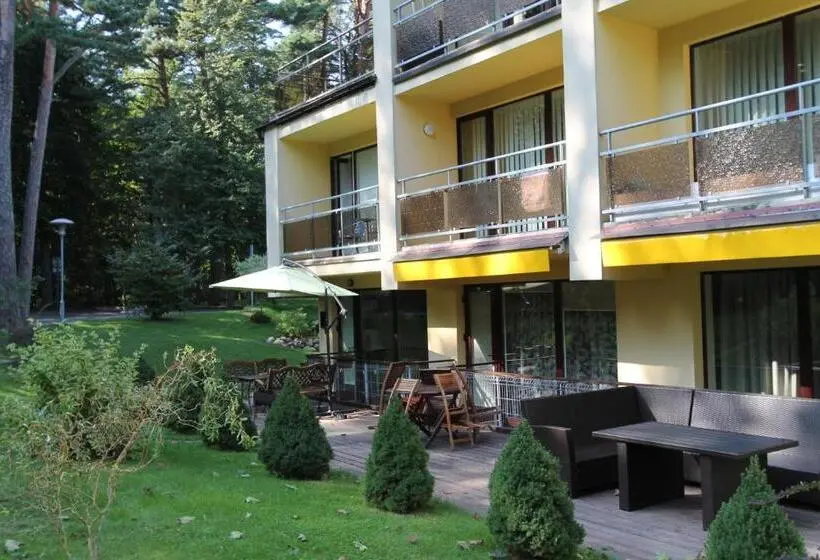 آپارتمان 1 خوابه با تراس, Pušynas Apartments