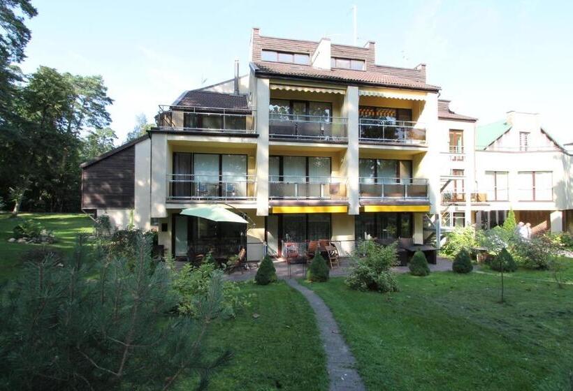 آپارتمان 1 خوابه با تراس, Pušynas Apartments