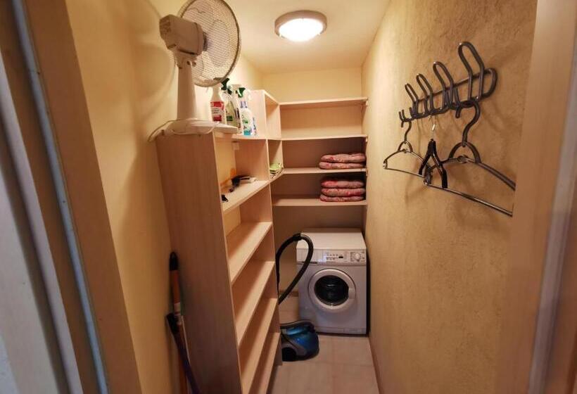 آپارتمان 1 خوابه با تراس, Pušynas Apartments