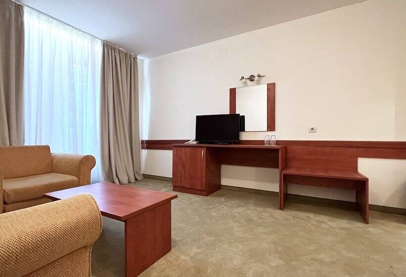 带1个卧室的公寓, Park Hotel Bansko