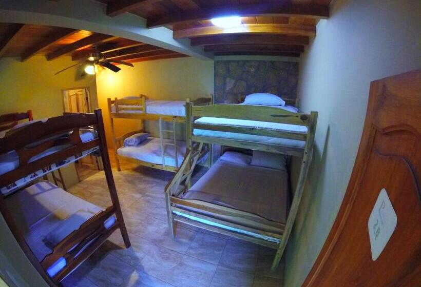 اتاق خانوادگی, Punta Hills Montanita