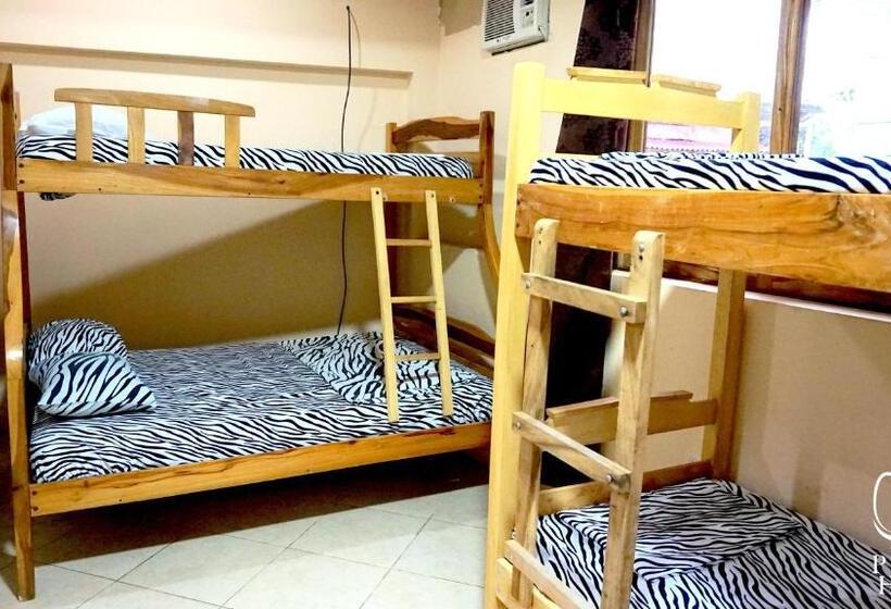 اتاق استاندارد چهار تخته, Punta Hills Montanita