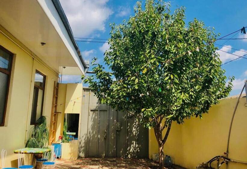 اتاق استاندارد چهار تخته, Huseyn Houses