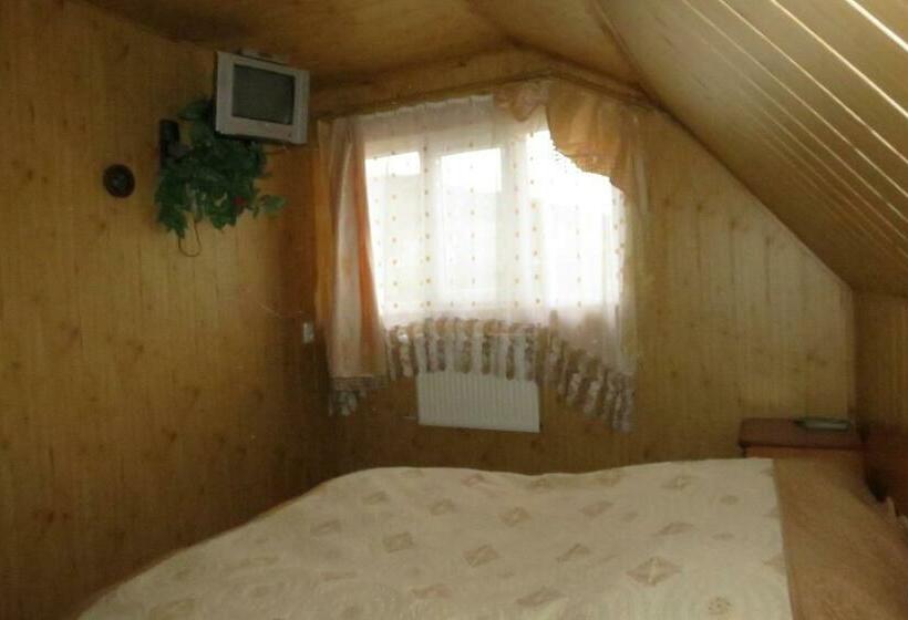 バス共有のスタンダードルーム, Bilyy Kamin Guest House