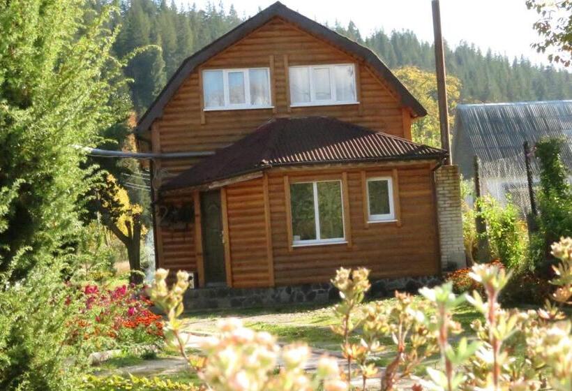 バス共有のスタンダードルーム, Bilyy Kamin Guest House