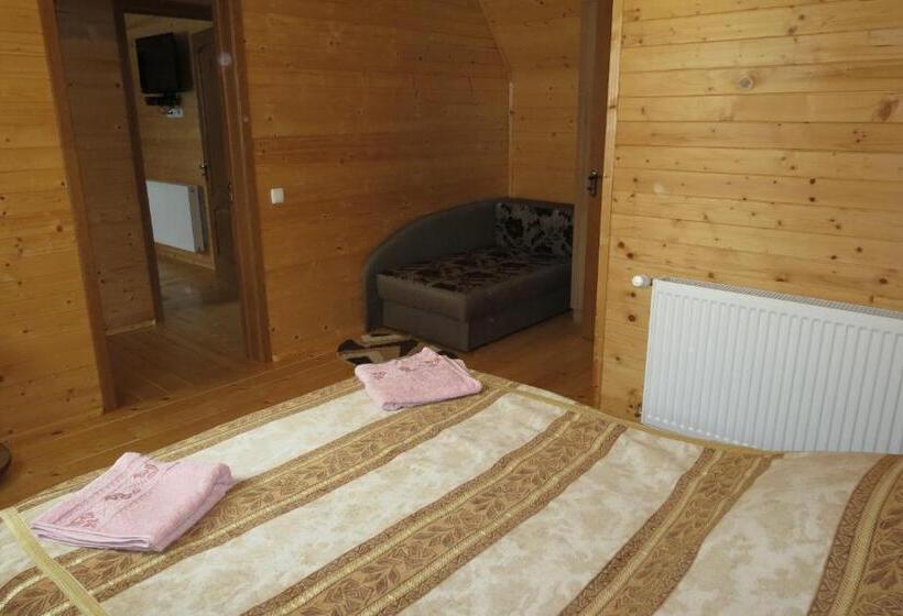 اتاق استاندارد با چشمانداز, Bilyy Kamin Guest House