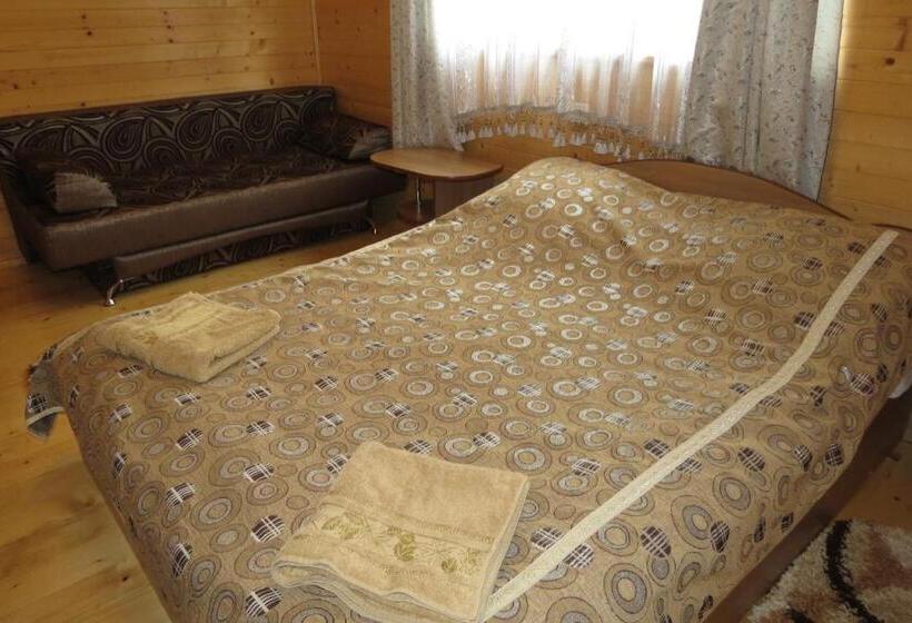 اتاق استاندارد با چشمانداز, Bilyy Kamin Guest House