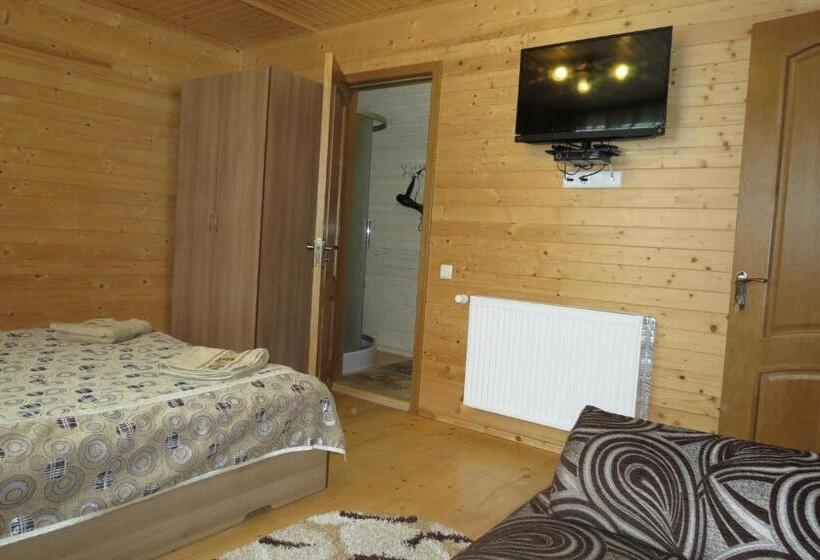 اتاق استاندارد با چشمانداز, Bilyy Kamin Guest House