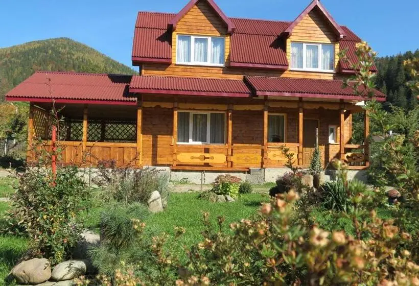 اتاق استاندارد با چشم‌انداز, Bilyy Kamin Guest House