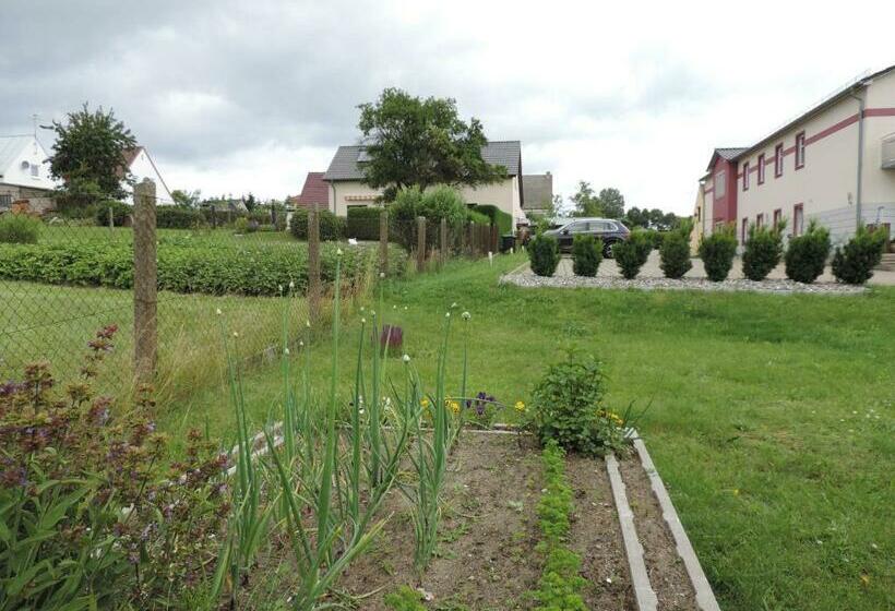 Номер Стандарт с Террасой, Pension Achteridyll