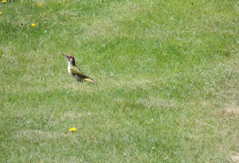 Номер Стандарт Адаптированный для Инвалидов, Pension Achteridyll