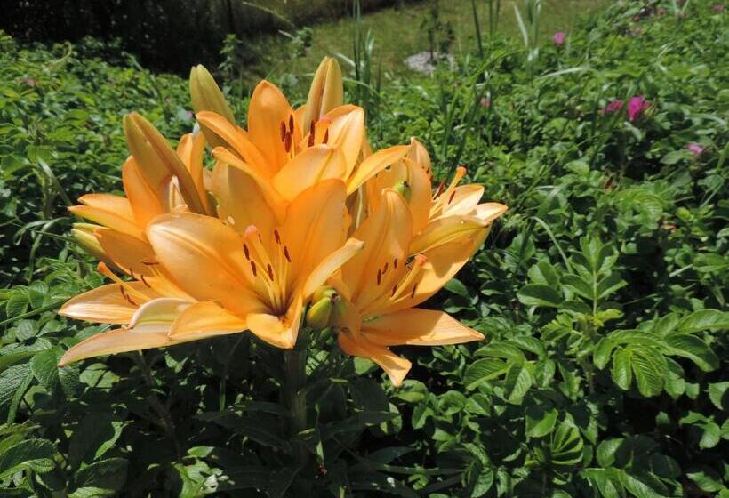 Номер Стандарт Вид на Озеро, Pension Achteridyll