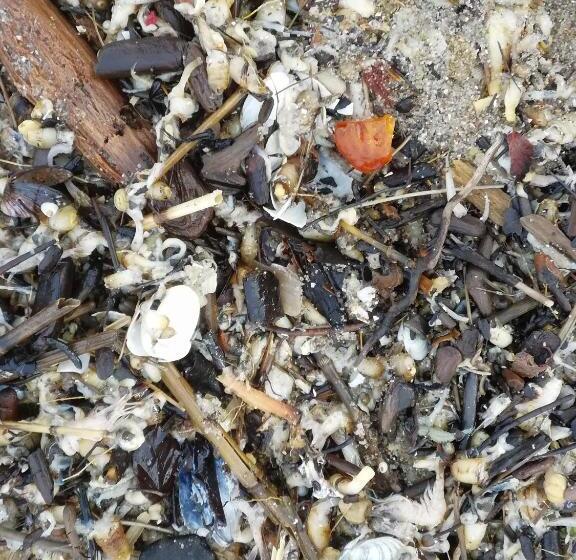 Номер Стандарт Вид на Озеро, Pension Achteridyll