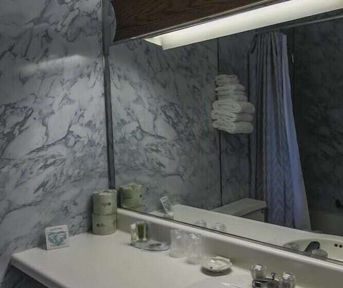 غرفة قياسية بالطابق الأرضى, The Vista