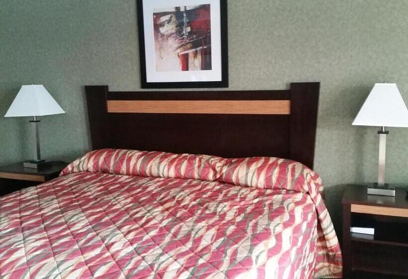 חדר סטנדרט עם מיטת קינג, German Village Inn Motel