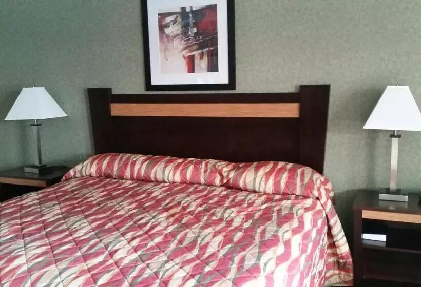 اتاق استاندارد با تخت بزرگ, German Village Inn Motel