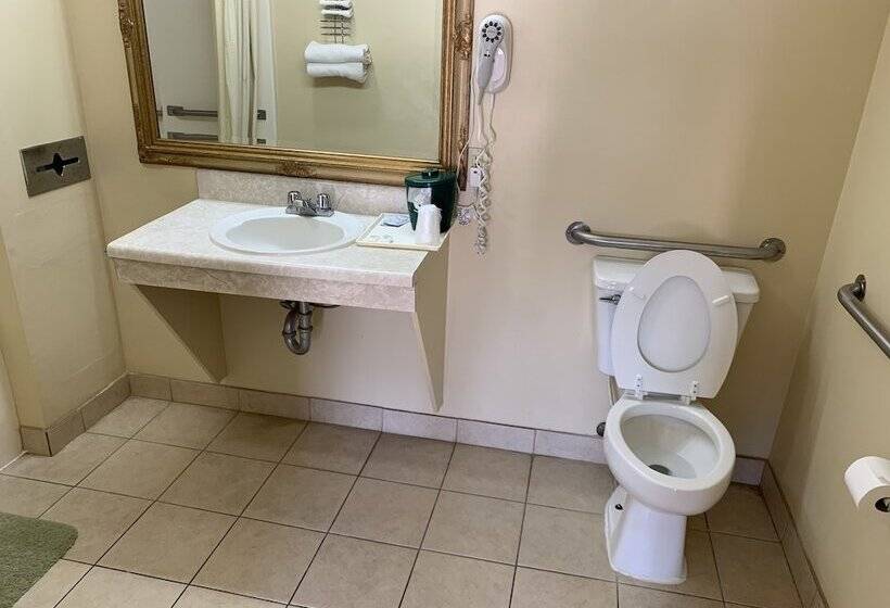 غرفه قياسيه سريرين مزدوجين, Western Motel