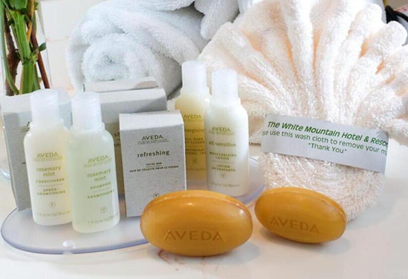 غرفه قياسيه سريرين مزدوجين, White Mountain Hotel And Resort