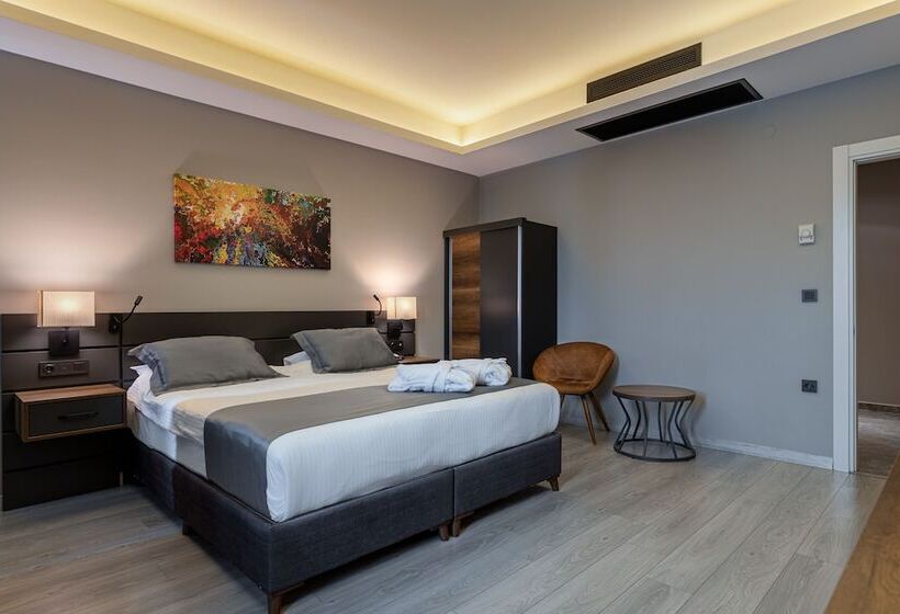 اتاق استاندارد, The Plaza Hotel Edirne