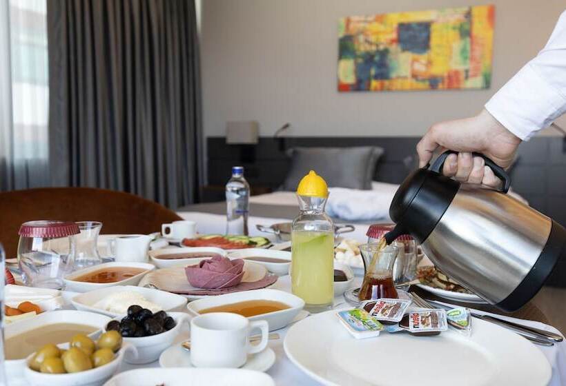 اتاق استاندارد, The Plaza Hotel Edirne