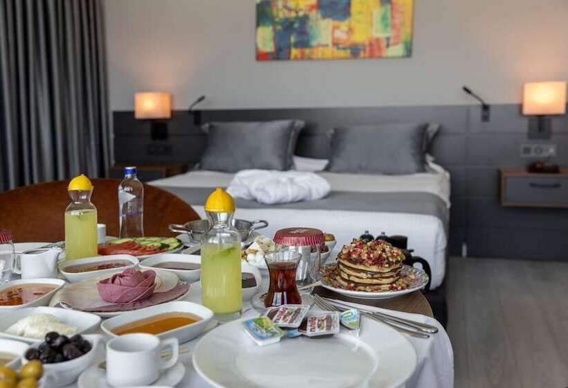 标准间, The Plaza Hotel Edirne