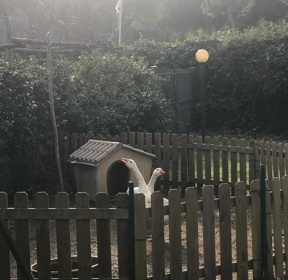 غرفة قياسية مطلّة علي البحيرة, Arturo & Trilly