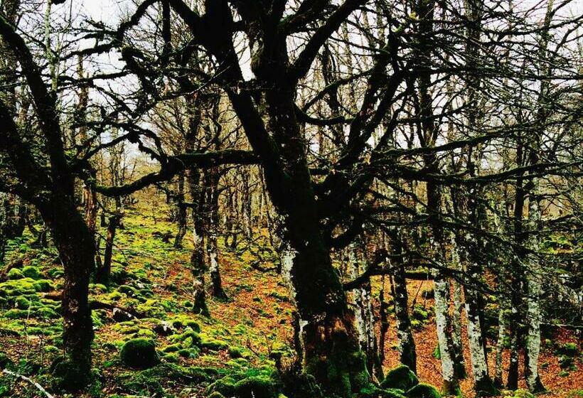 标准间, Hostal Cristina