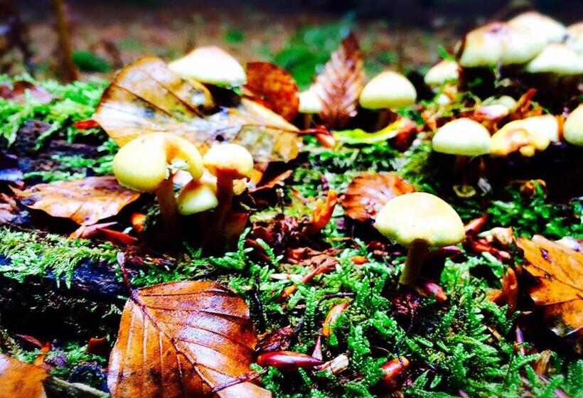 标准间, Hostal Cristina