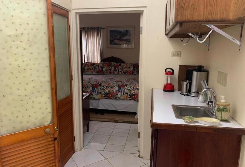 اتاق لوکس, Aileen Palm Cove Ja