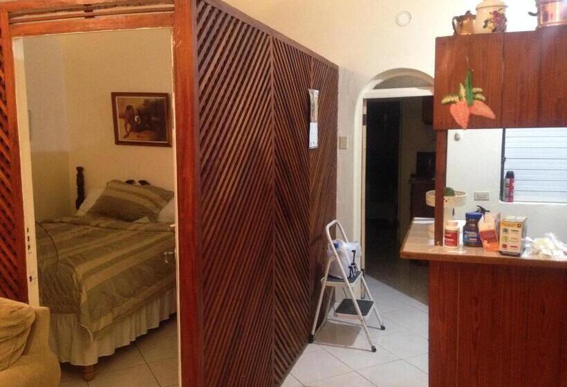 اتاق عادی, Aileen Palm Cove Ja