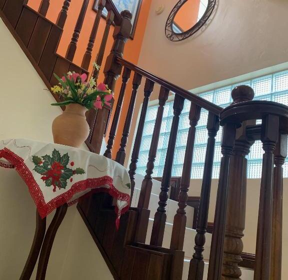 اتاق استاندارد یک نفره, Aileen Palm Cove Ja