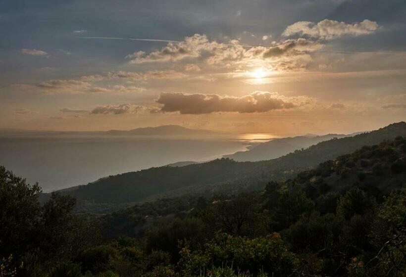 חדר דלוקס צדדי נוף לים, Simurg Inn