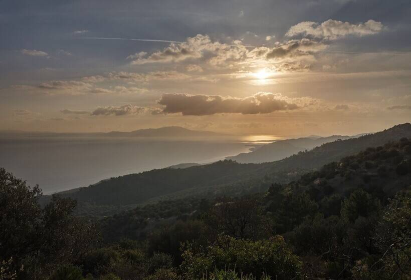 חדר דלוקס נוף לים, Simurg Inn