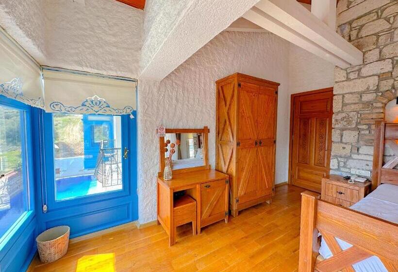 اتاق استاندارد با چشم‌انداز استخر, Stone Garden Tas