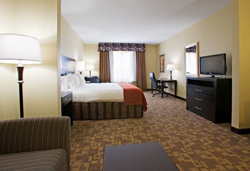 Люкс, Holiday Inn Express And Suites Snyder, An Ihg