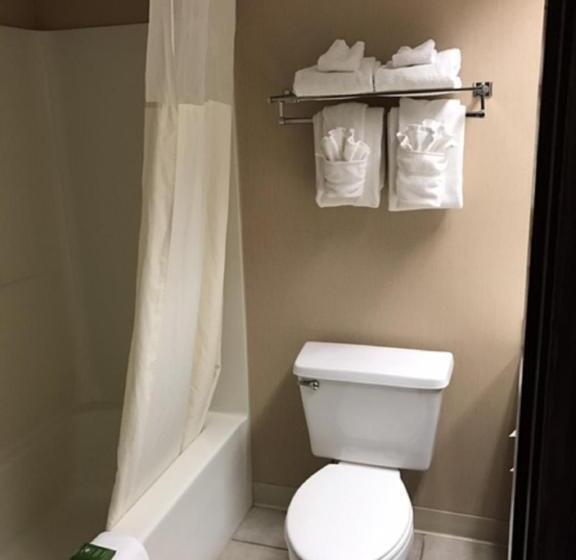 اتاق استاندارد با تخت بزرگ, The Country Inn Of Lancaster