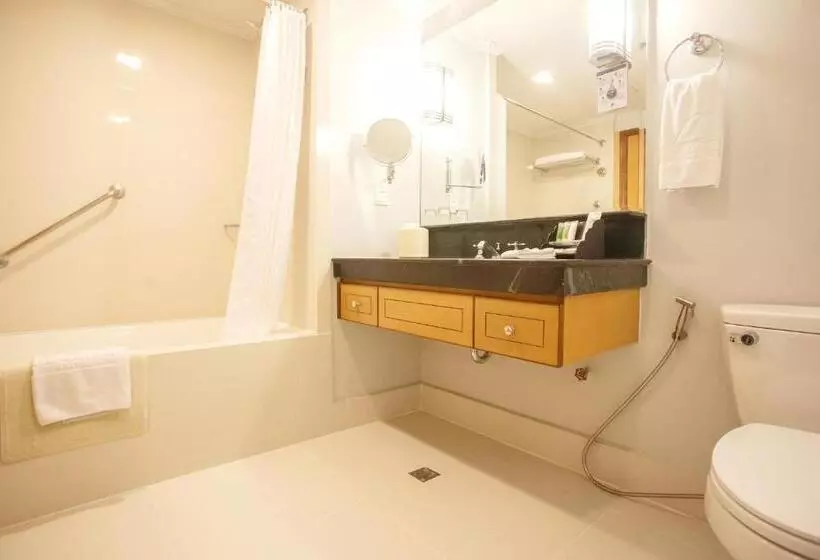 آپارتمان پریمیوم 1 خوابه, The Linden Suites