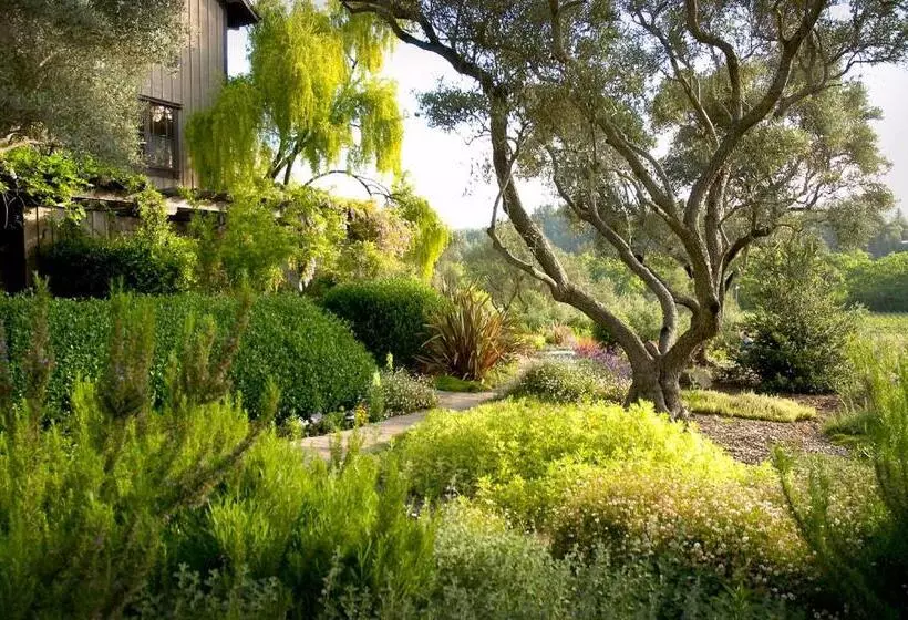 キングサイズベッドのスタンダードルーム, Wine Country Inn & Cottages Napa Valley