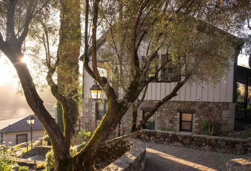 景色の見えるスーペリアルーム, Wine Country Inn & Cottages Napa Valley