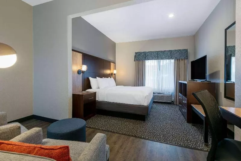 اتاق استاندارد با تخت بزرگ, Wingate By Wyndham Dfw / North Irving