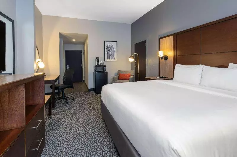 اتاق استاندارد با تخت بزرگ, Wingate By Wyndham Dfw / North Irving