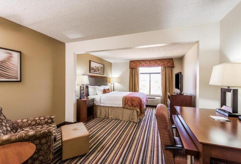 스탠다드 룸 킹사이즈 침대, Wingate By Wyndham Sulphur Near Lake Charles