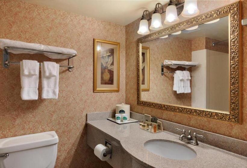 스탠다드 룸 킹사이즈 침대, Wingate By Wyndham Sulphur Near Lake Charles