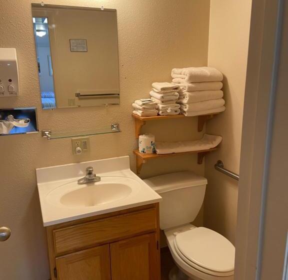 غرفة ديلوكس, Woodland Motel