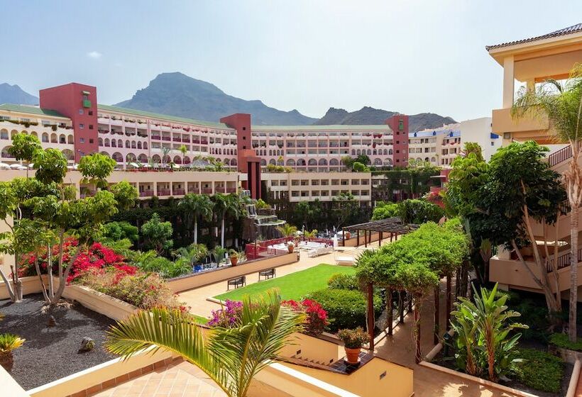 수피리어 룸, Best Jacaranda