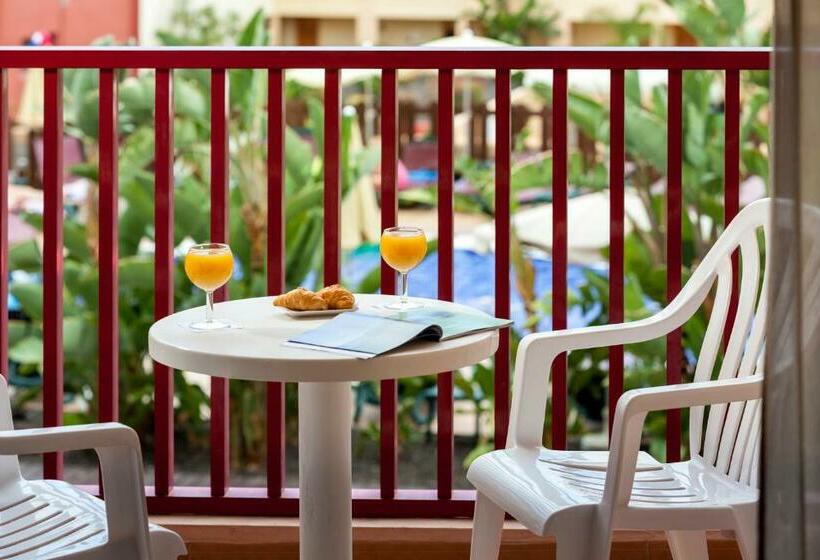 带泳池观景的豪华房, Best Jacaranda